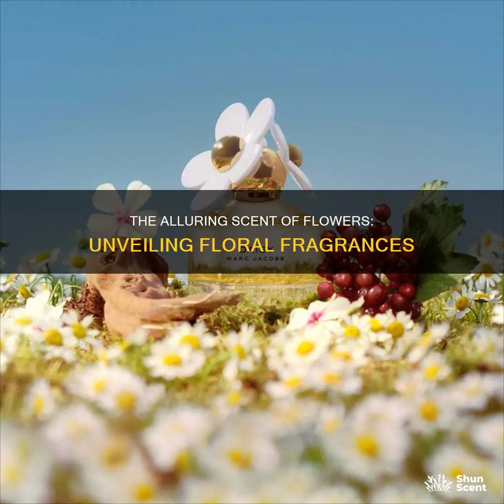 what is floral fragrance