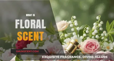 Understanding the Alluring World of Floral Scents: Origins and Appeal