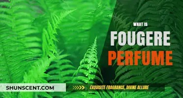 The Fougère Fragrance Family: Exploring the Scent of Ferns