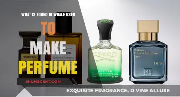 Whale Vomit: The Secret to Perfume Making