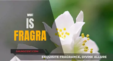 Unraveling the Mystery of Fragra: What's the Fragrance?