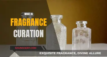 The Art of Fragrance Curation: A Beginner's Guide