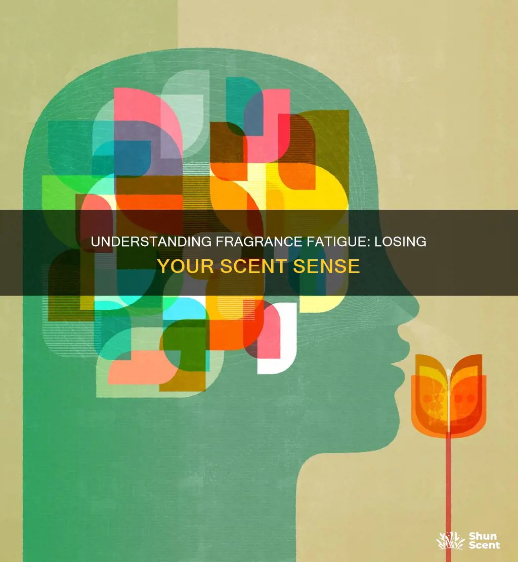 what is fragrance fatigue