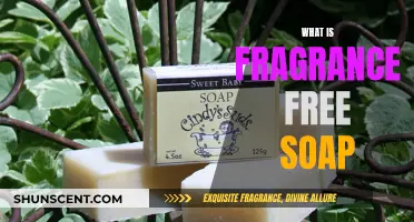 The Benefits of Fragrance-Free Soaps for Sensitive Skin