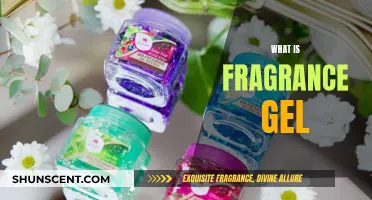 The Fragrance Gel: A Beginner's Guide to This Aromatic Product