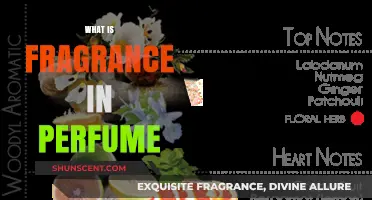 The Heart of Perfume: Understanding Fragrance Notes