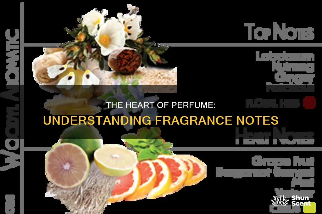 what is fragrance in perfume