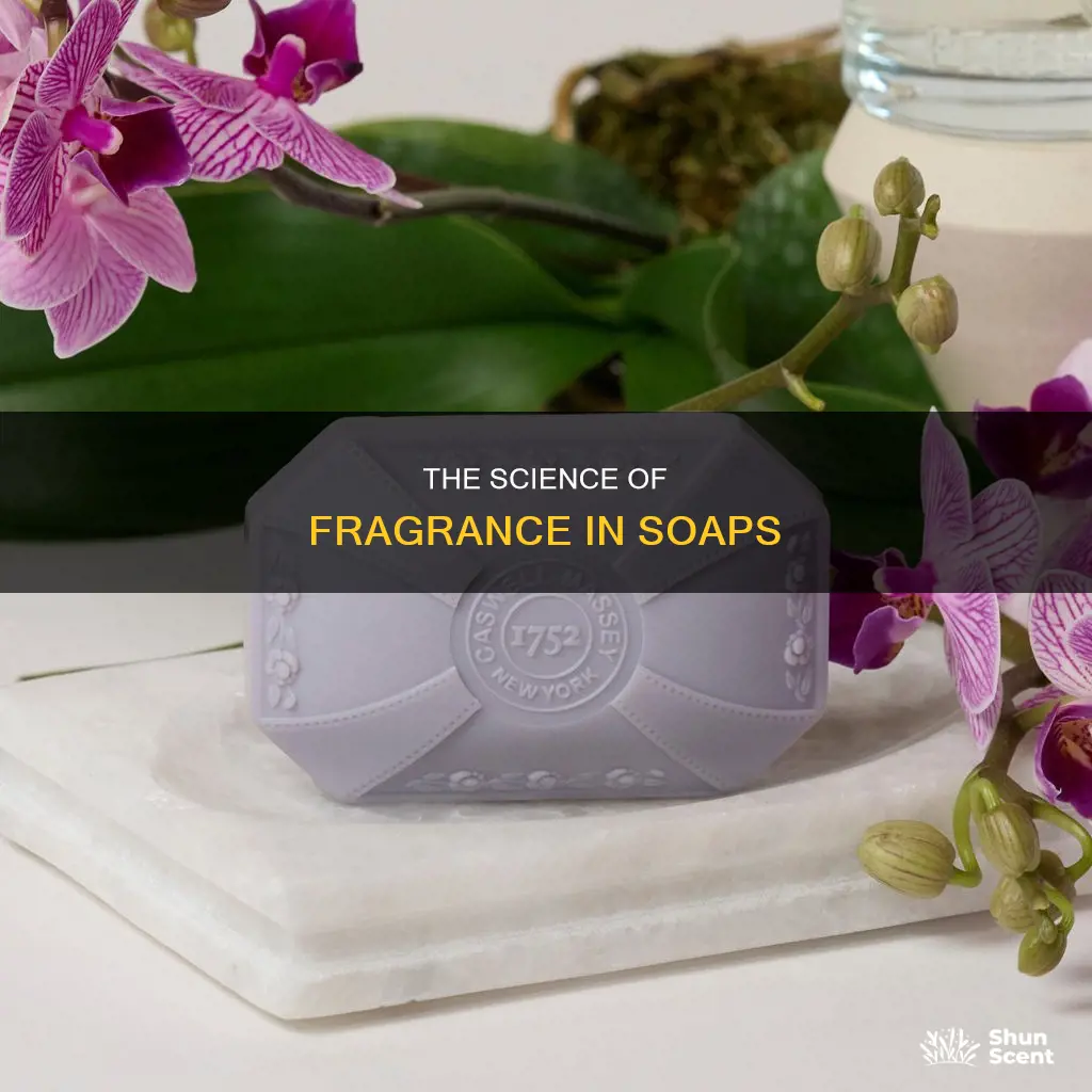 what is fragrance in soap