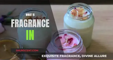 The Fragrance Mystery: What's That Scent?