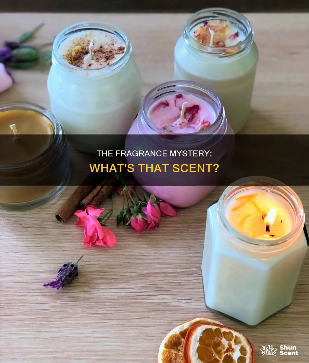what is fragrance in