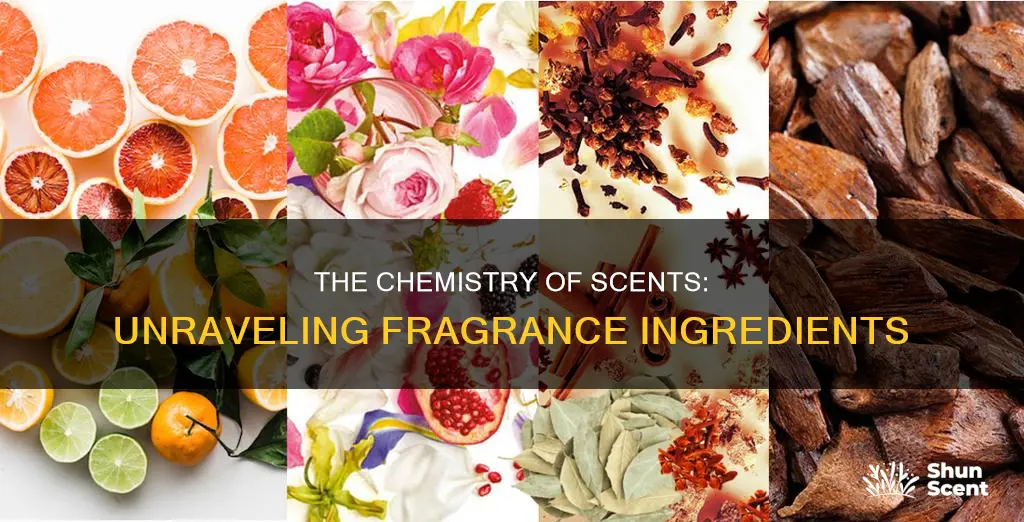 what is fragrance ingredient