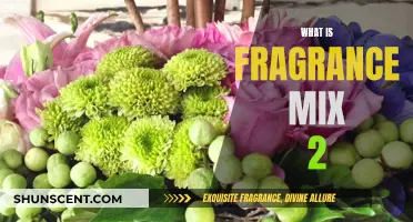 The Intriguing Fragrance Mix 2: Unraveling the Scent Mystery