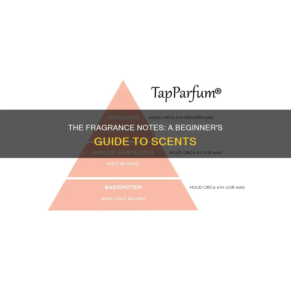 what is fragrance notes