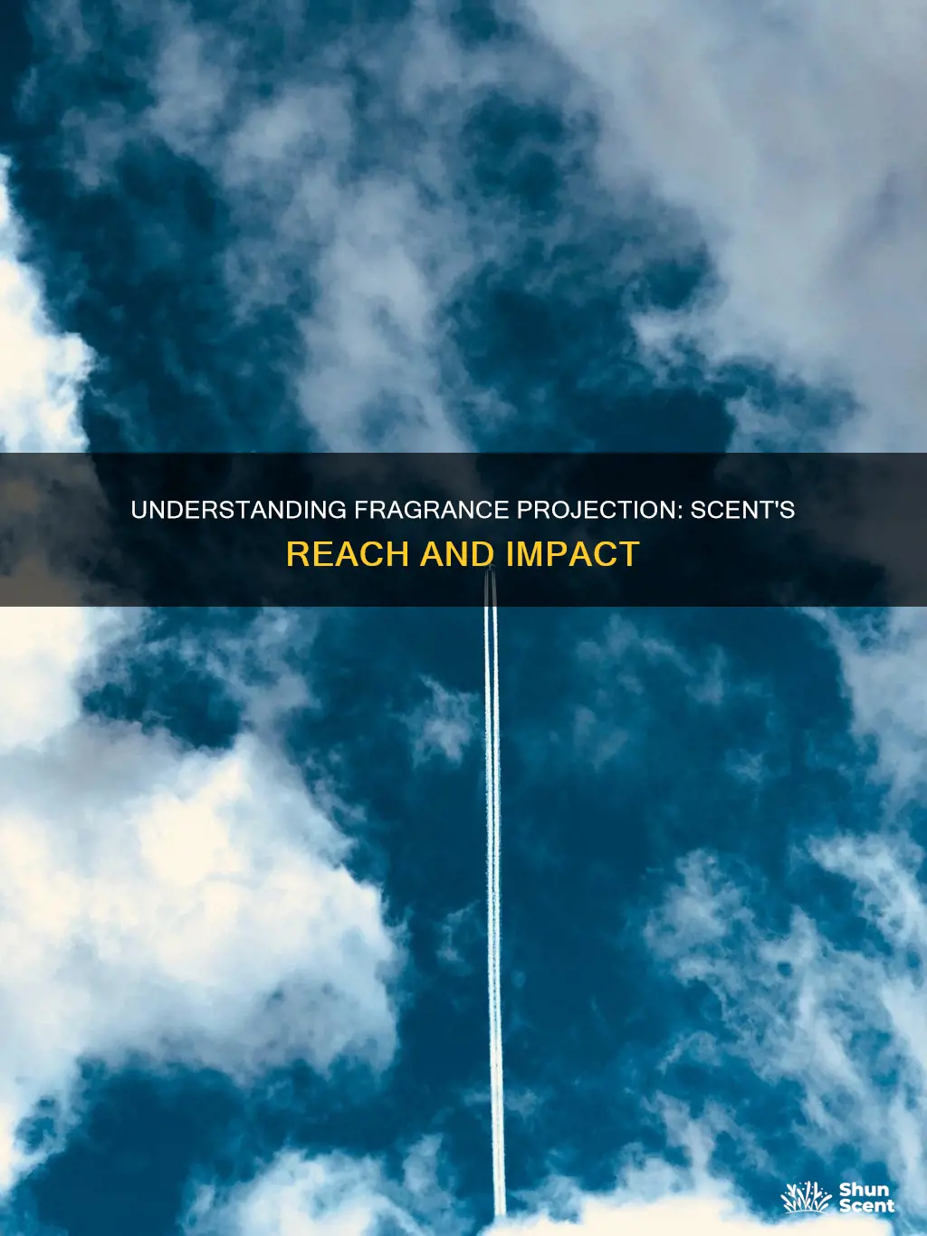 what is fragrance projection