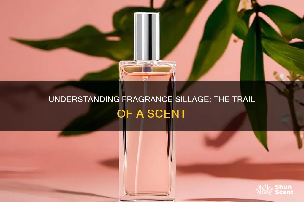 what is fragrance sillage