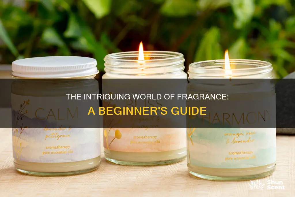 what is fragrance