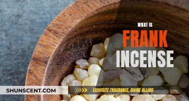 Frank Incense: Ancient Aromas for Modern Times