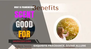 Frankincense Scent Benefits: Relaxation, Focus, and Spiritual Wellness Explained