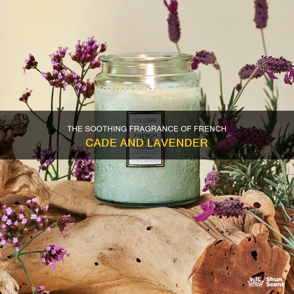 what is french cade and lavender fragrance
