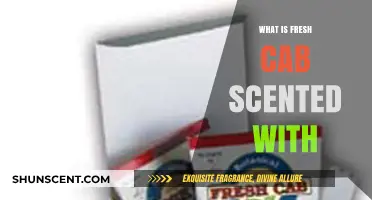 Discover the Natural Scents Behind Fresh Cab's Freshness