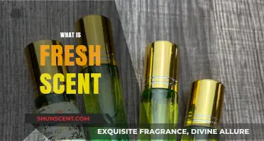 Understanding Fresh Scent: Origins, Benefits, and Everyday Uses Explained