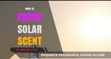 Discover the Invigorating Fresh Solar Scent: A Complete Guide