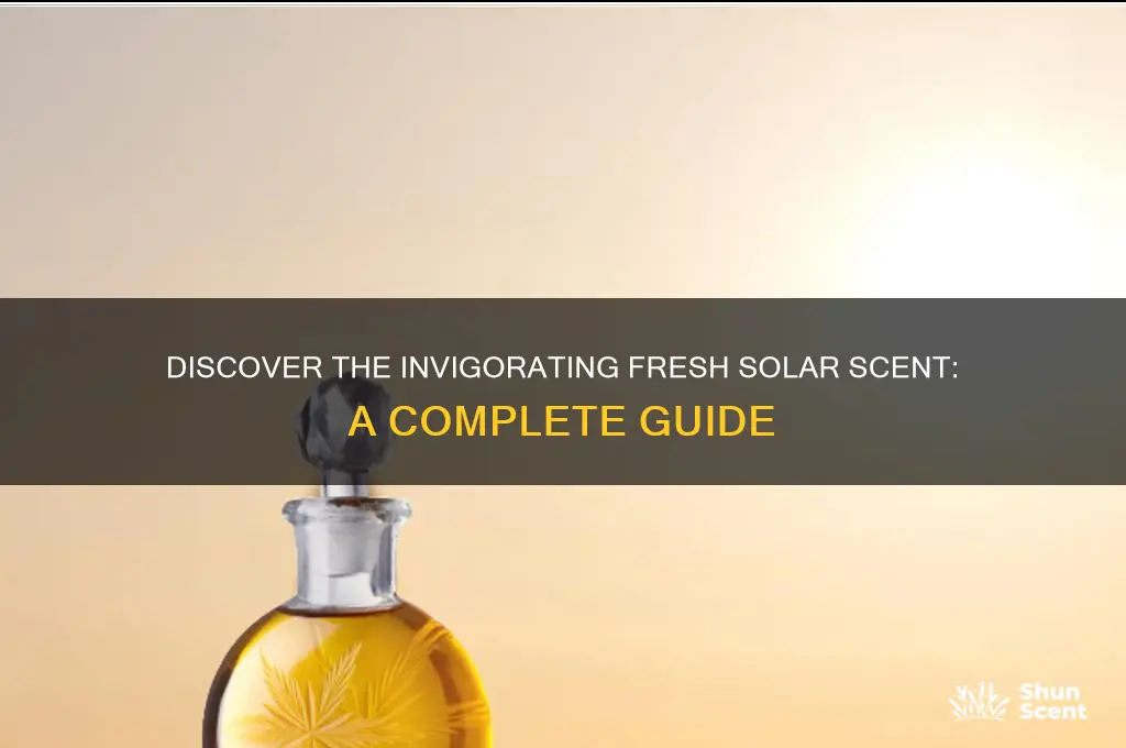 what is fresh solar scent