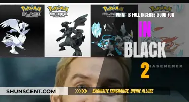 Full Incense Strategies in Pokémon Black 2