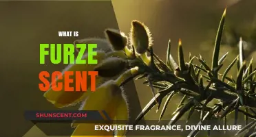 Discover the Unique and Enchanting Aroma of Furze Scent