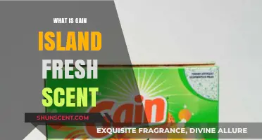 Discover Gain Island Fresh Scent: A Tropical Laundry Experience