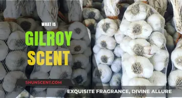 Unveiling the Mystery: Understanding the Unique Gilroy Scent Phenomenon