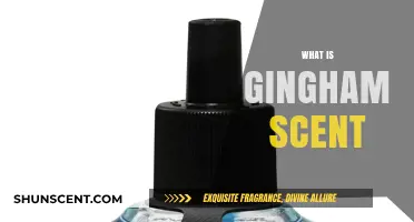 Exploring the Fresh, Nostalgic Charm of Gingham Scent: What It Is