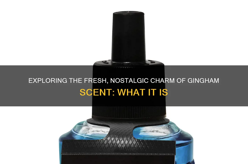 what is gingham scent