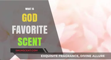 Exploring Divine Aromas: What Could Be God's Favorite Scent?