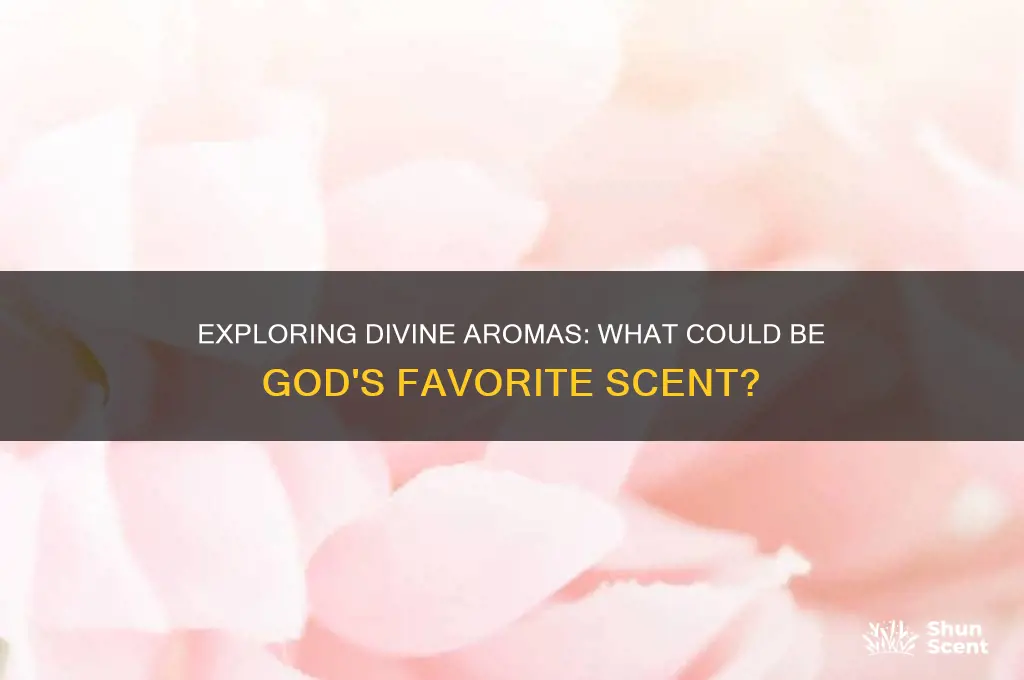 what is god favorite scent