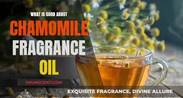 Chamomile Fragrance Oil: A Soothing and Uplifting Aroma