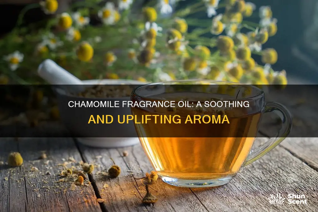 what is good about chamomile fragrance oil