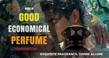 Affordable Scents: Finding the Perfect Inexpensive Perfume