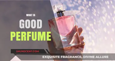 The Art of Choosing a Perfect Perfume