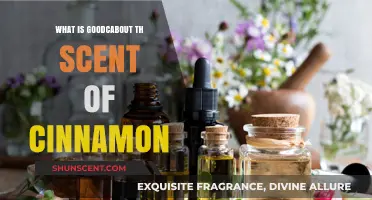 The Warm, Inviting Aroma of Cinnamon: Benefits and Appeal