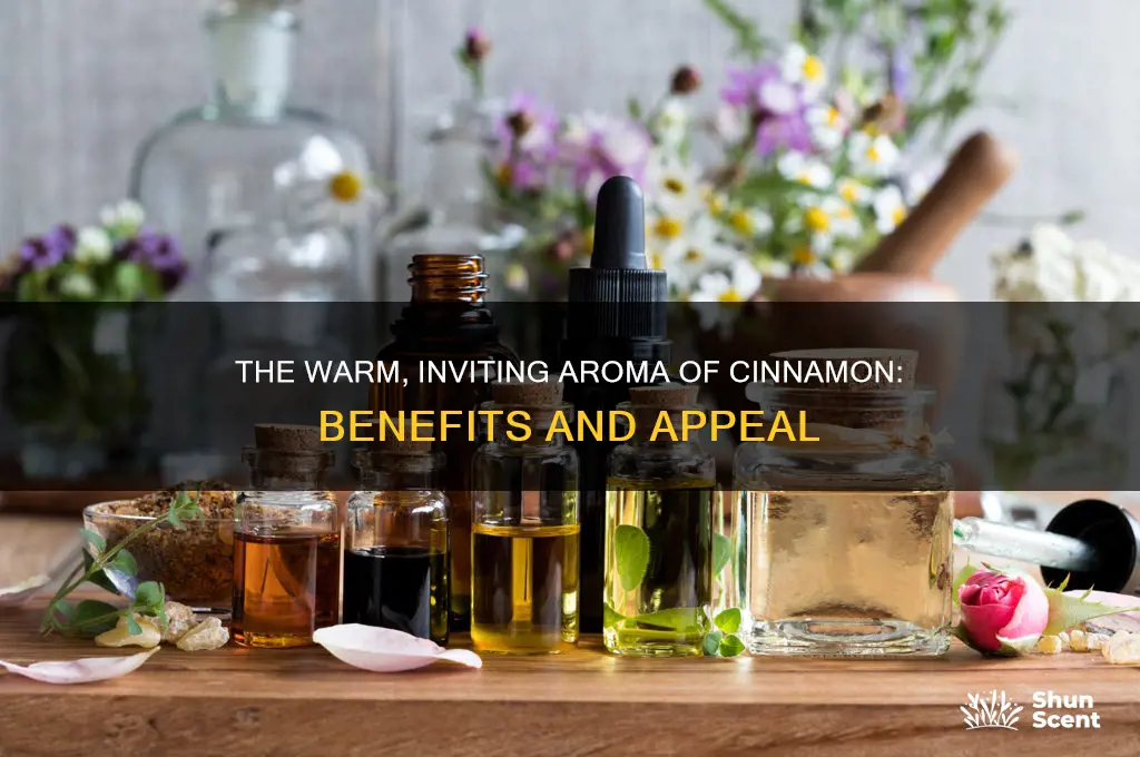 what is goodcabout th scent of cinnamon