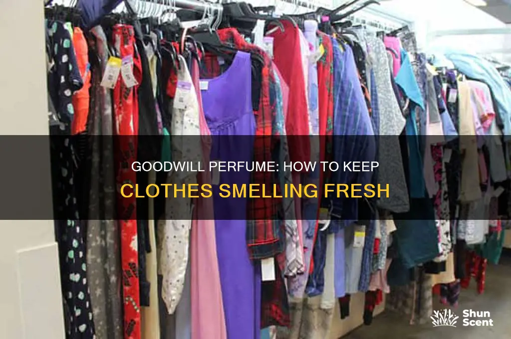what is goodwill perfume on clothes