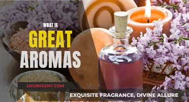 The Aromatic Experience: Discovering Great Aromas