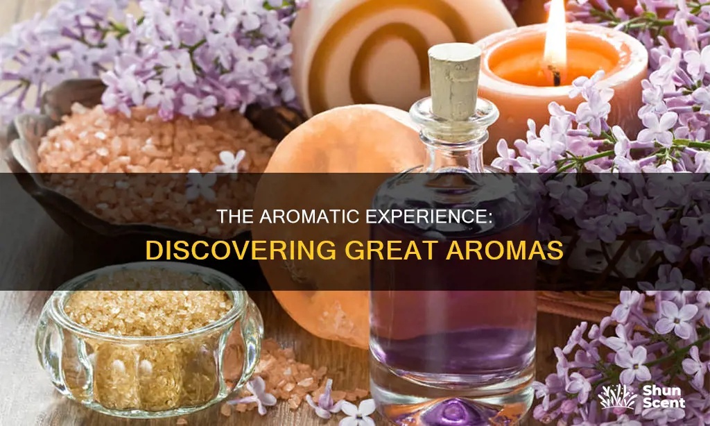 what is great aromas