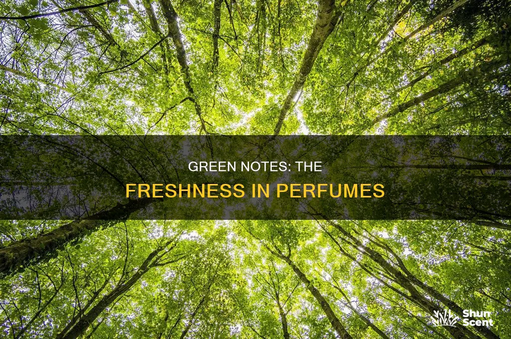 what is green note in perfume