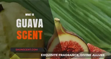 Exploring the Tropical Aroma: What is Guava Scent?