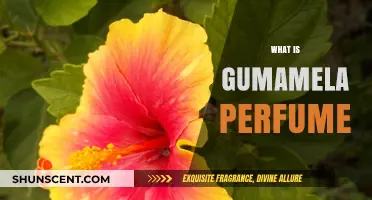 The Gumamela Perfume: A Fragrant Bloom