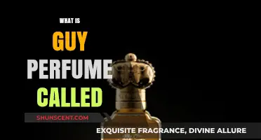 The Fragrance of Masculinity: What is Guy Perfume Called?