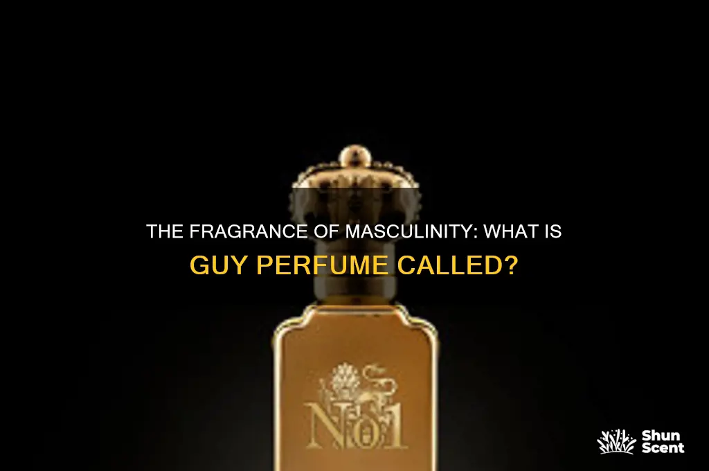 what is guy perfume called