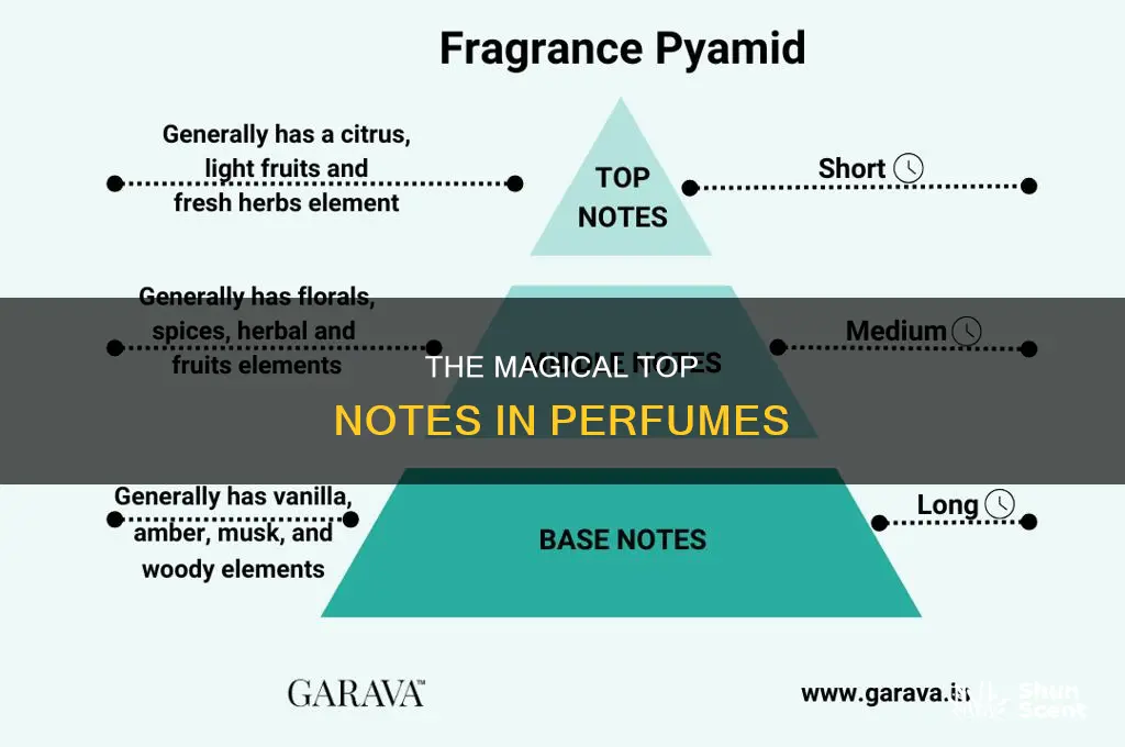 what is head note in perfume